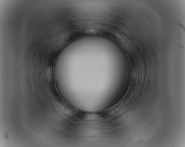 X0000097870605200804041552