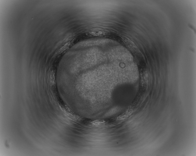 X0000097870606200804041552