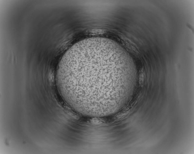 X0000097870608200804041552