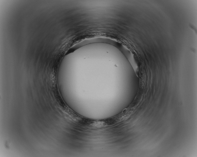X0000097870609200804041552