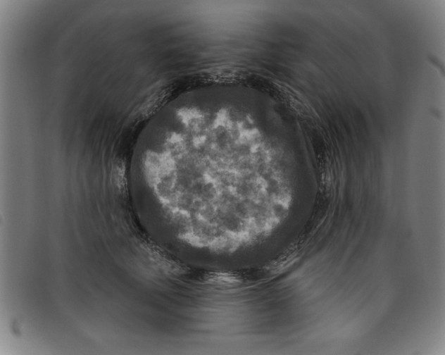 X0000097870610200804041552