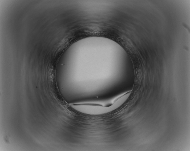 X0000097870612200804041552