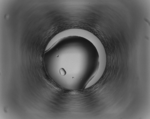 X0000097870614200804041552