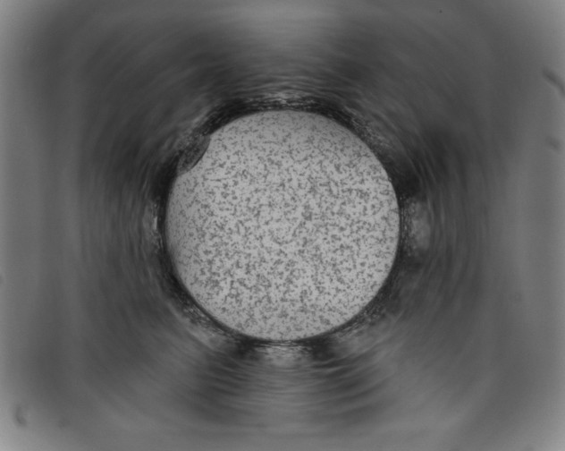 X0000097870615200804041552