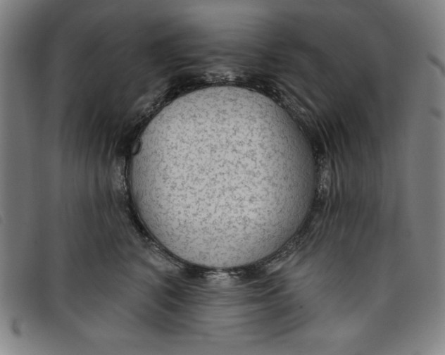 X0000097870616200804041552