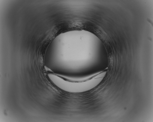 X0000097870617200804041552