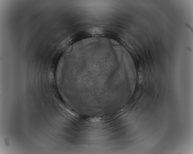 X0000097870618200804041552
