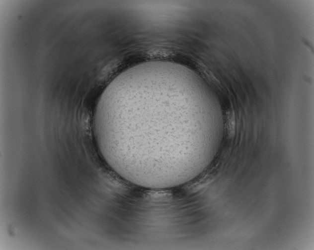 X0000097870619200804041552
