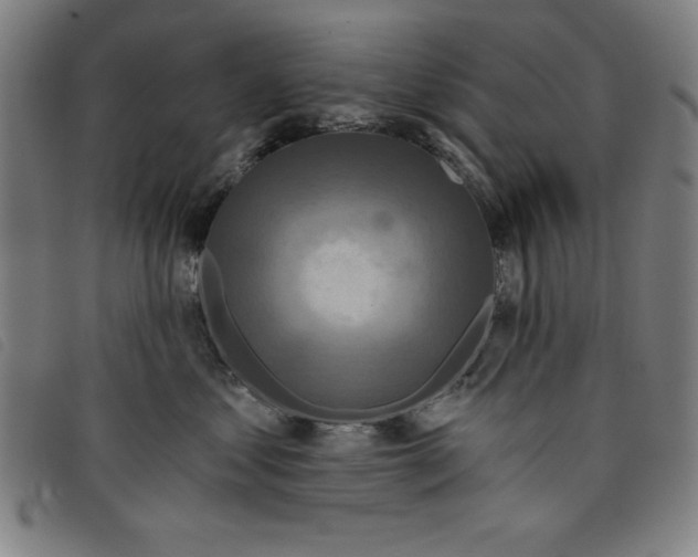X0000097870621200804041552