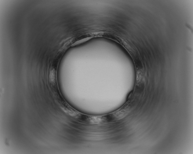X0000097870623200804041552