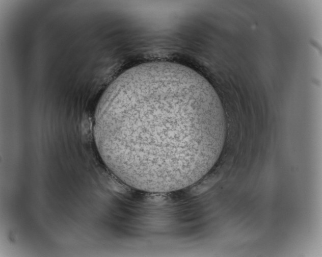 X0000097870624200804041552