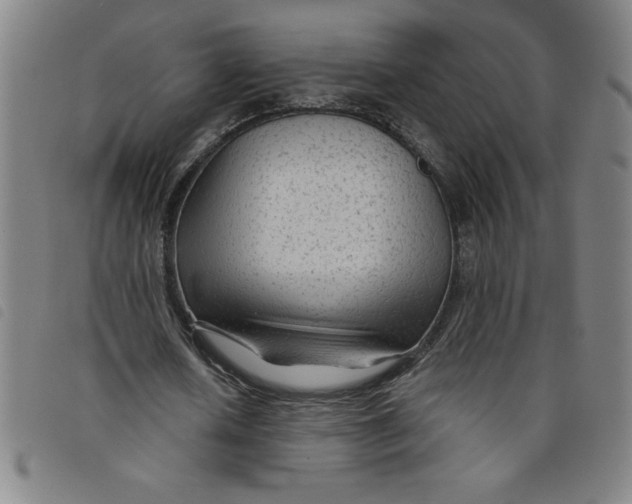 X0000097870626200804041551