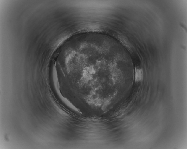 X0000097870627200804041551
