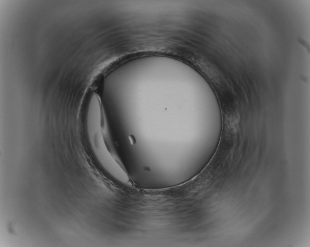 X0000097870628200804041551