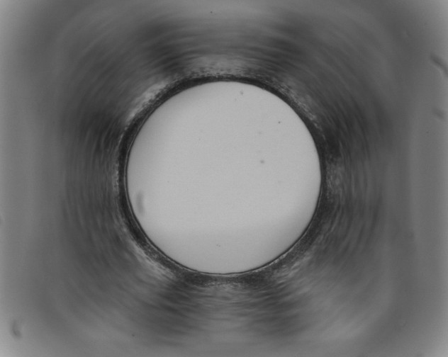 X0000097870629200804041551
