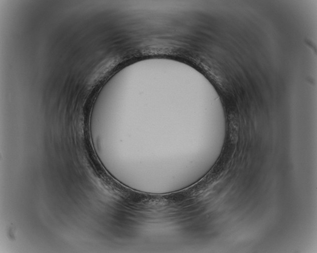 X0000097870631200804041551