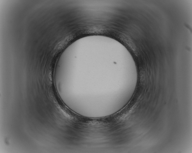 X0000097870633200804041551