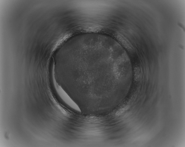 X0000097870634200804041551