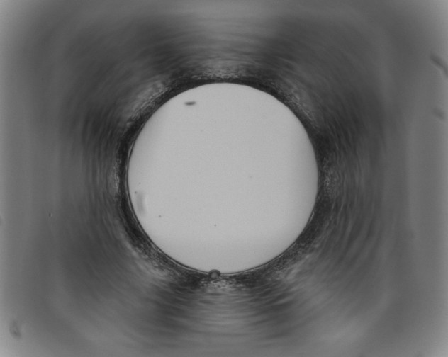 X0000097870635200804041551