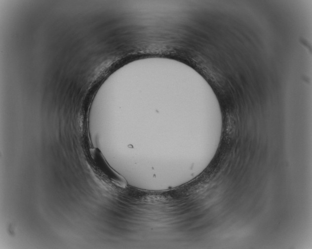 X0000097870636200804041551
