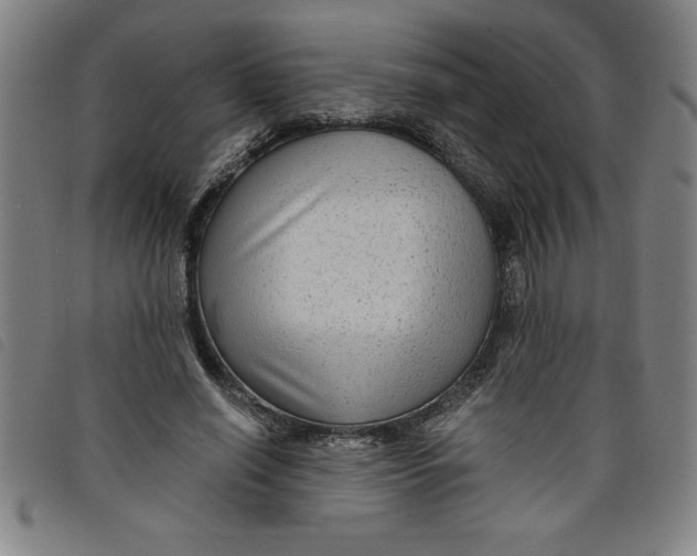 X0000097870638200804041551