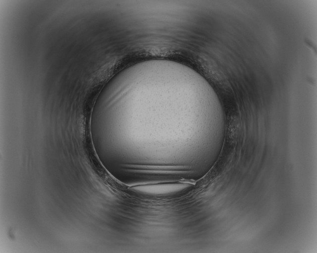 X0000097870639200804041552