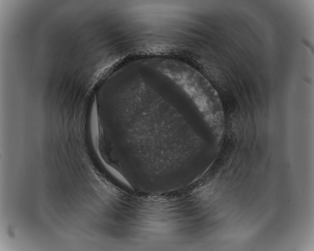 X0000097870640200804041552