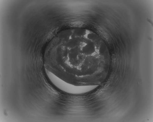 X0000097870641200804041552