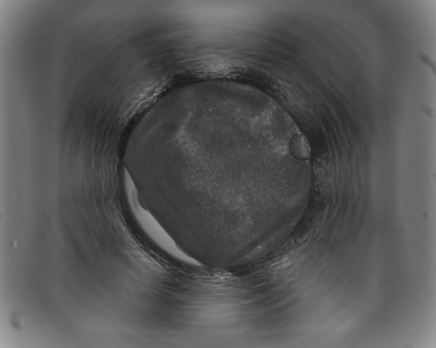 X0000097870642200804041552