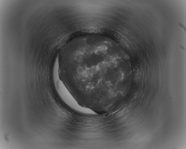 X0000097870643200804041552