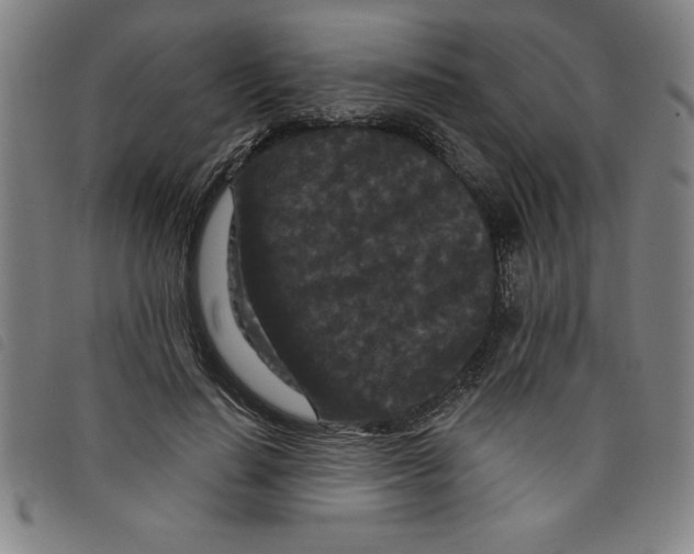 X0000097870644200804041552