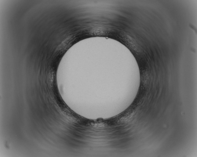 X0000097870645200804041552