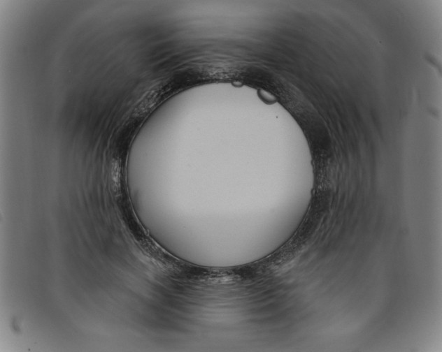 X0000097870646200804041552