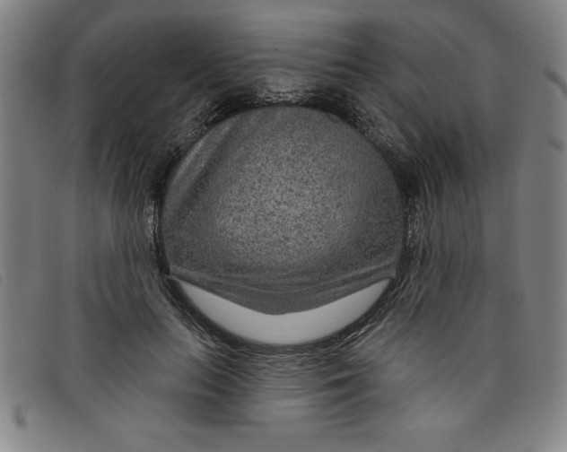 X0000097870647200804041552