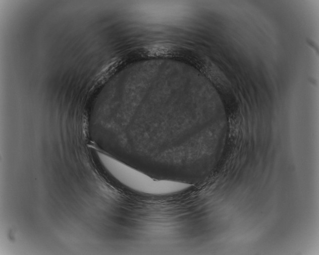 X0000097870648200804041552