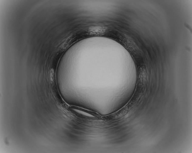 X0000097870649200804041552