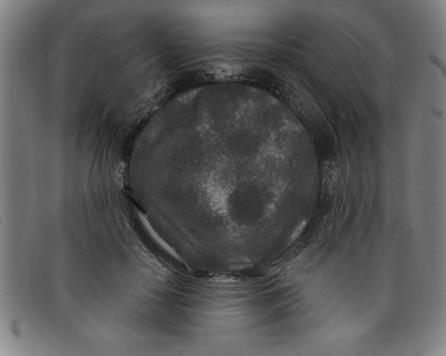 X0000097870650200804041552