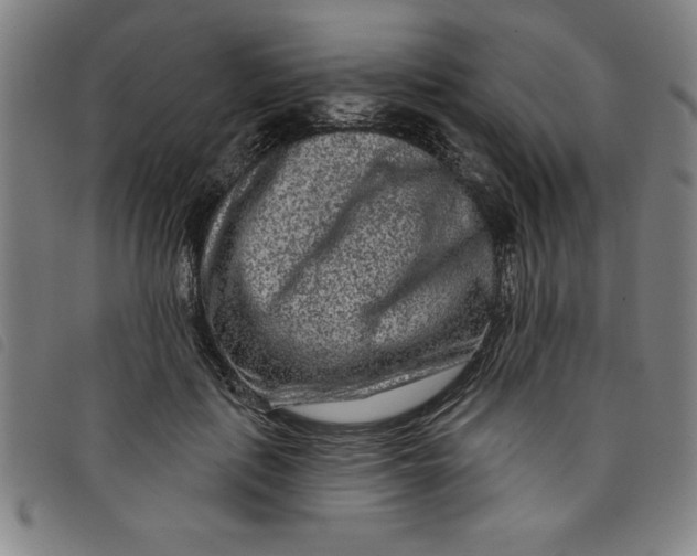 X0000097870651200804041552