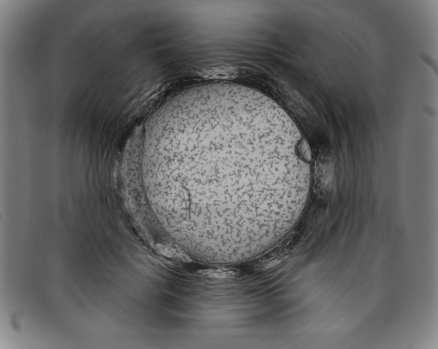 X0000097870652200804041552