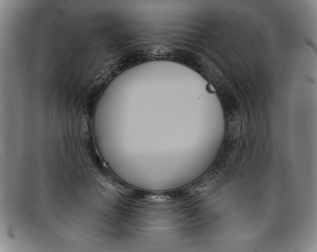 X0000097870654200804041552