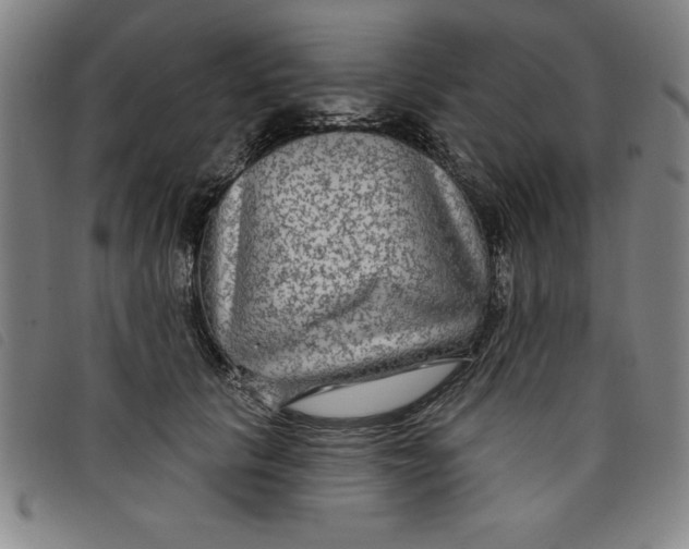 X0000097870657200804041552