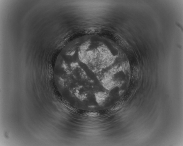 X0000097870659200804041552