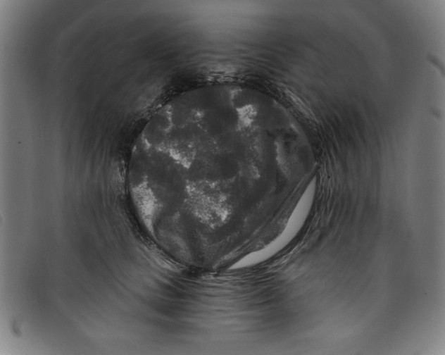 X0000097870661200804041552