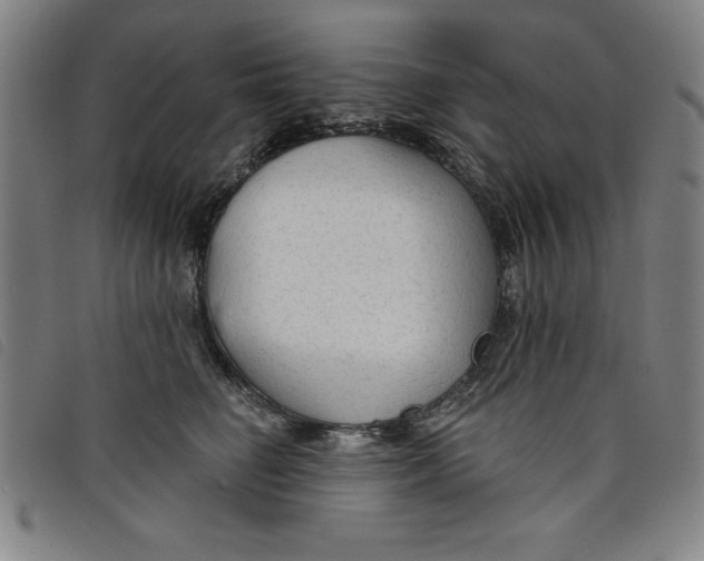 X0000097870662200804041552