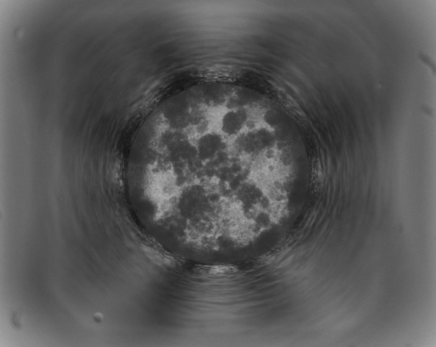 X0000097870663200804041552