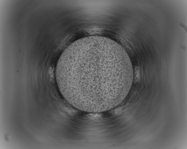 X0000097870667200804041552