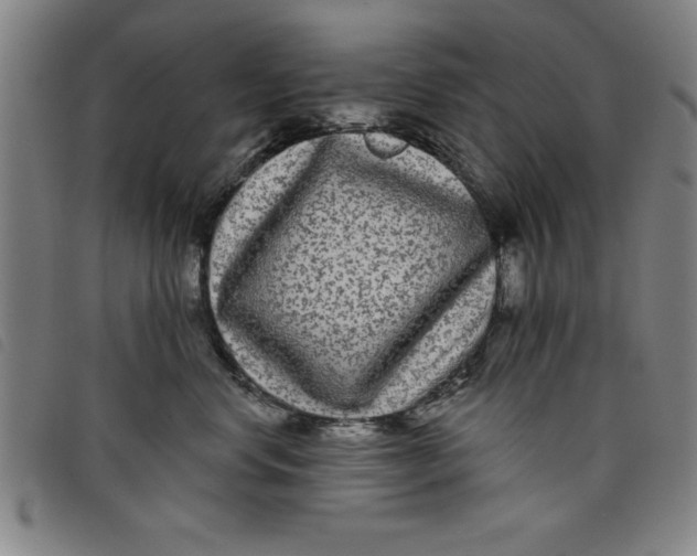 X0000097870668200804041552
