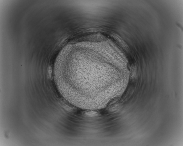 X0000097870669200804041552