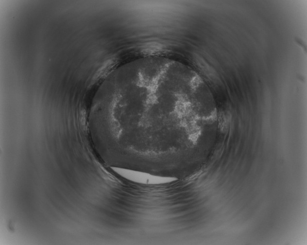 X0000097870670200804041552