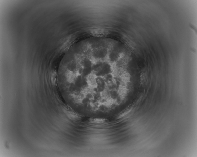 X0000097870671200804041552